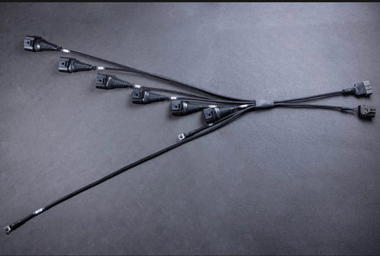 Rb25 S2 R8 Coilpack Loom